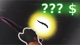 WE GOT A KNIFE FROM THIS CASE?? (HELLCASE CASE OPENING) (55$ GIVEAWAY)