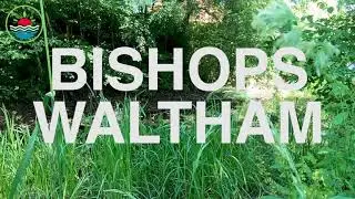 Bishops Waltham in Hampshire