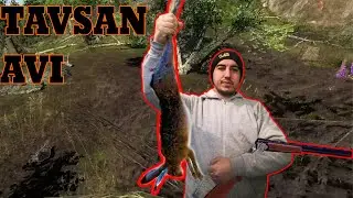 THE HUNTER CLASIK KÖPEKLE TAVŞAN AVI