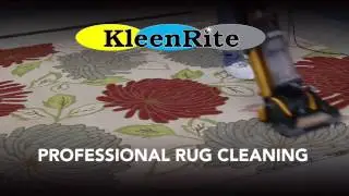 KleenRite: Professional Rug Cleaning