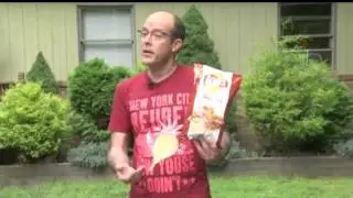 Lay's down to final 4 in 'Do Us a Flavor' contest