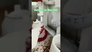Western Wall Insulated with Reflectix