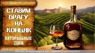 Ставим брагу на коньяк. Натуральные соки
