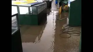 Video released showing situation at Huish Park which led to postponement of Watford game following h