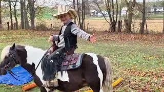 Lucky sells at Dixie Horse Auction in Troutman NC- November 28th and 29th