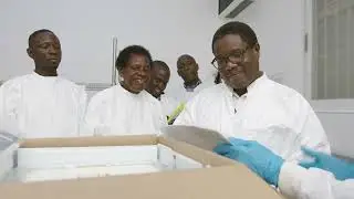 Importation of the non gene drive male bias mosquito to Uganda