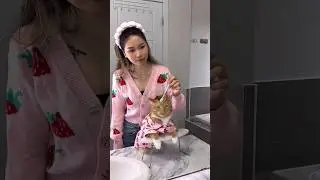 Cat spa day - skincare routine #shorts28 #shorts30 #viral #catshorts #spaday
