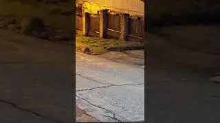 лучший момент  прямого эфира за 7.02.2026г. вечером . #енотызимой