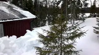 Sn&oslash;m&aring;king av hyttetak i Lierne