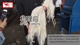 Zhanjiang Weida Combing Machine YSJ-1200 Testing for Hemp Fiber圆梳机 工业大麻纤维  试机 V1