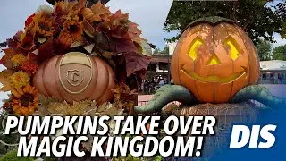 Pumpkins Take Over Magic Kingdom at Walt Disney World!