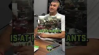 How Common Do Rats Infest Restaurants? #shorts #rats #rodentcontrol #pestcontrol #podcast