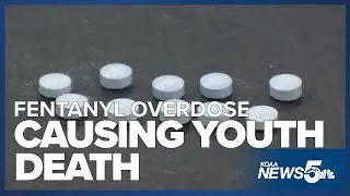 Fentanyl overdose is leading cause of death for those under 50