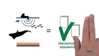 Precautionary Principle