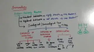 antigen antibody reaction in laboratory part#1 || laboratory diagnosis microbiology Levinson