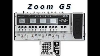 Zoom G5 - Detune , Granular , Rotary , Wah-Wah