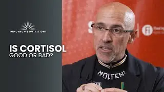 What Is Cortisol? Understanding Stress Hormones & the Role of Suntheanine&reg; | Dr. Shawn Talbott