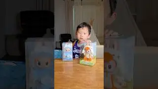Opening every LABUBU (Part 1)