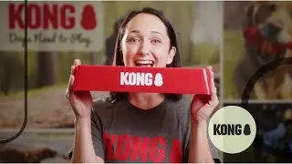 KONG Vet campaign