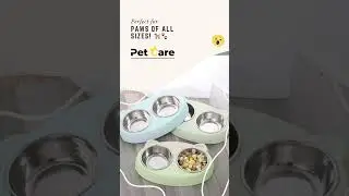 Non-Slip Raised Pet Feeder with Stainless Steel Water & Food Bowls for Dogs & Cats