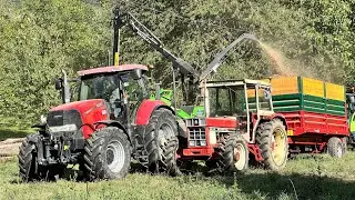 Broyage de Bois 2025 / Heizohack 8-400K / Case IH Puma 180 CVX Sounds / IH 844-SB / Claas Arion 420