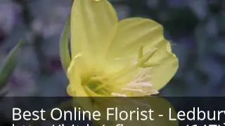 Order Flowers Online Ledbury Park