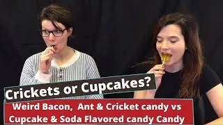 Eating Bugs! Ant sucker, dried crickets - OfftheWagonSHOP.com