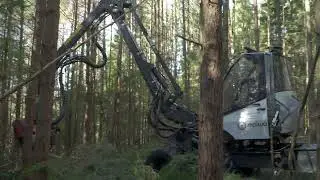Malwa 980 Harvester