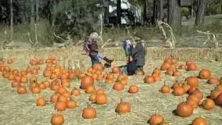 A Gold Rush Halloween
