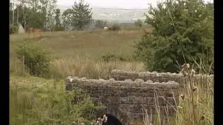 Leitrim Trail