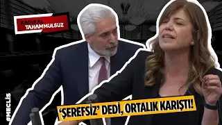 Meclis’te “Şerefsiz” krizi! AKP'li vekil DEM'li vekilin üzerine yürüdü | ARŞİV
