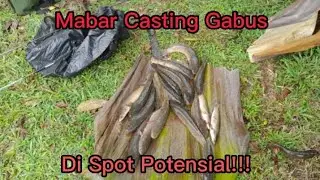 Angler lain pasti ngiler#castinggabus#spotpotensial