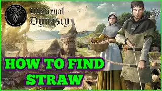 Medieval Dynasty How To Find Straw