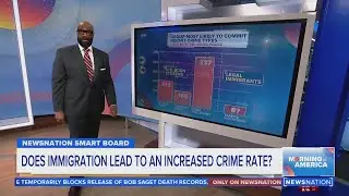 Does immigration lead to an increased crime rate? | Morning in America