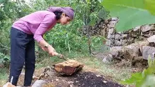 Solitary Nature's Table: A Culinary Adventure amidst Walnut
