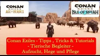 Conan Exiles - Tipps , Tricks & Tutorials - Tierische Begleiter - Aufzucht, Hege und Pflege