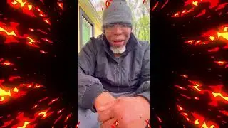 Hawaiian Snow Cone THCA Flower From California Gold Farms Blaze Session Review