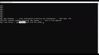 What you do as a Database Developer