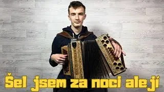 Matej Kondela - Šel jsem za noci alejí