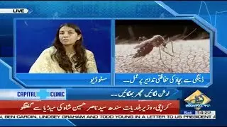 How to identify the dengue mosquito and what can you do to protect yourself from dengue fever?