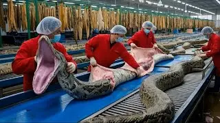 Inside Luxury Snake Leather | From Skin to Luxury Products