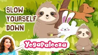 Fast Bunny + Slow Calm Sloth