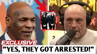 Joe Rogan&rsquo;s Hilarious Reaction to the Paul Brothers&rsquo; Fight Scandal