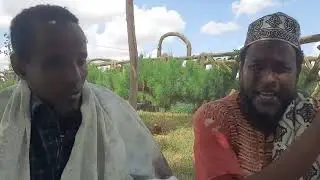 ABWAAN NUUROW KABAY OO ABAAN AFKA FURTAY WAA KUMA NINKA UU AMAANAAYO