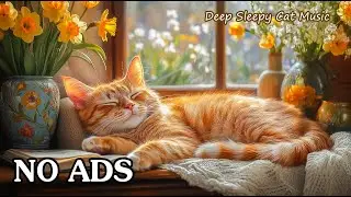 3 Hours of Deep Sleep Music for Cats 🐈 Soothing & Calm 🌙 Deep Sleepy Cat Music 💤 No Ads