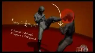 Human Weapon All in One Tips and Tricks Tehnic Taekwondo and others Full Strengh