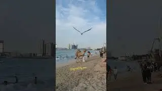 United Arab Emirates, everything is perfect. #dubai #uae #shorts