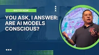 You Ask, I Answer: Are AI Models Conscious?
