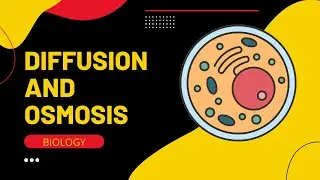 Diffusion and Osmosis Class-8 to 10 | Well Defined Explanation