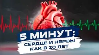 Простая ДЫХАТЕЛЬНАЯ ПРАКТИКА для восстановления организма, при стрессе и давлении | HRV-Breathing